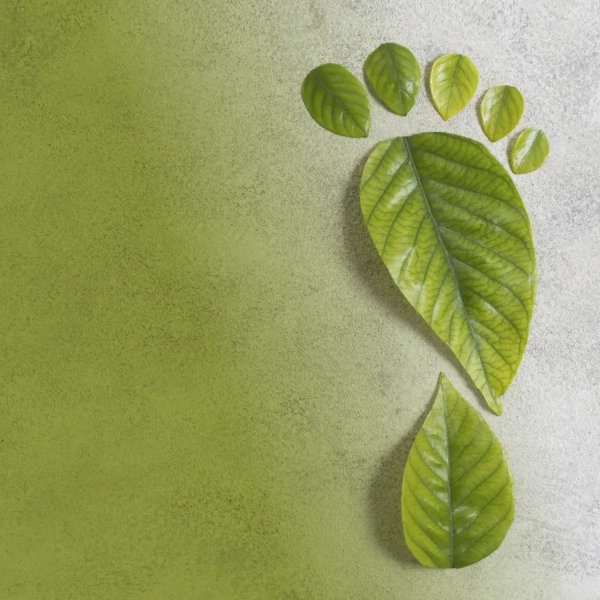Carbon Footprint delle macchine per la pulizia: continua l’impegno di Comac